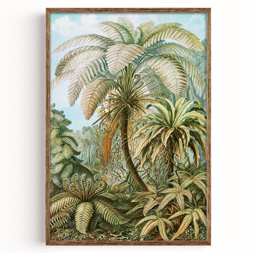 Vintage botanical fern - vintage,