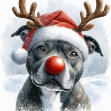 Single Luxury Grey Staffy Christmas Card Dog Gift/Present RUD