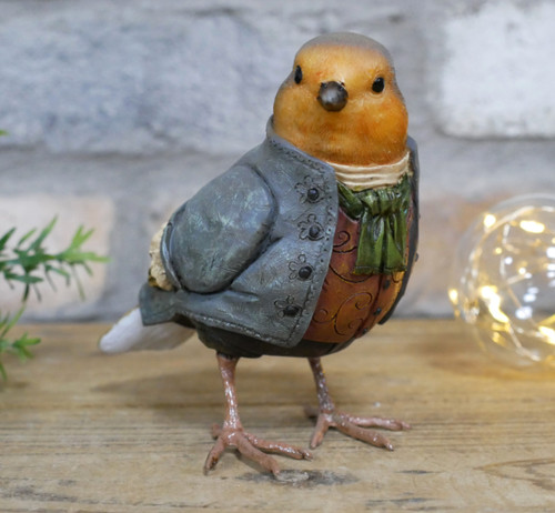 Garden robin bird suit - bird, a