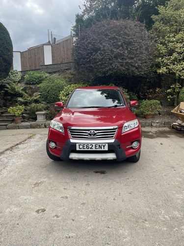 Toyota red rav cat auto - rav,
