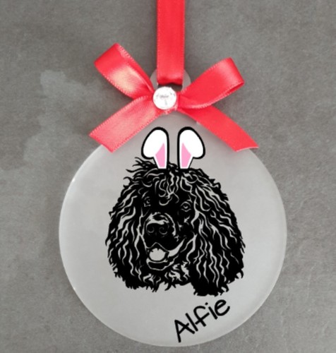 Irish water spaniel - irish, dog