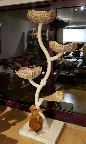 Large flower cat tree wooden - flower,