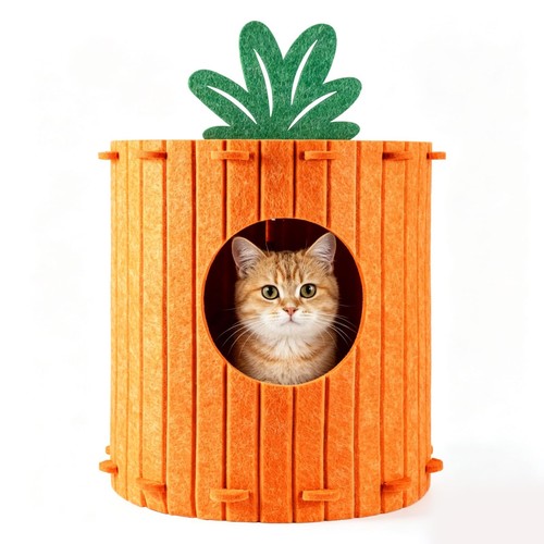 Carrot felt cat - cat,