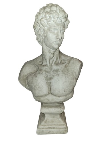 Michelangelo david bust statue - michelangelo,