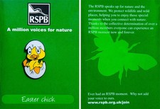 RSPB Pin Badge AMVfN Easter