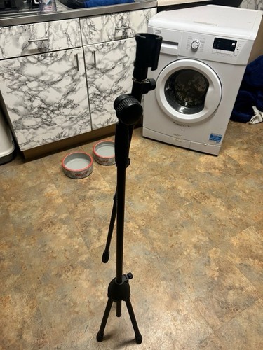 Perfect condition tiger - condition,