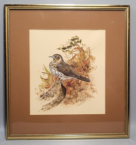 Ian bowles watercolour - bowles,