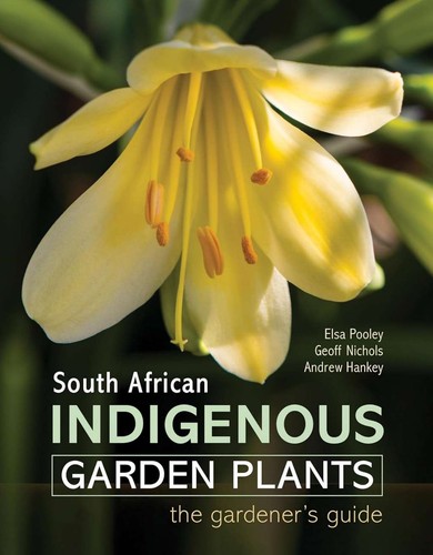 South african indigenous - south,