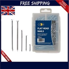 250 Assorted Nails for Wood