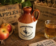 Vintage Novelty Stoneware Jug