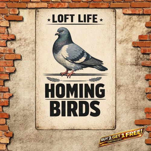 Dad pigeon shed racing - dad, homing