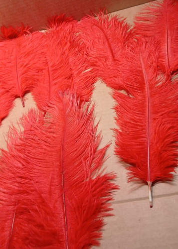 Red natural ostrich feathers - natural,