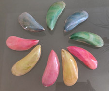 3x coloured Pearl Tahong Mussel Polished Seashell crafts beach aquariums 8-10cm