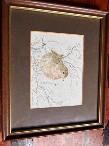 Framed original watercolour - a,
