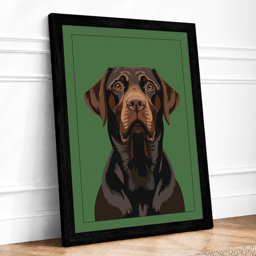 Labrador retriever portrait - labrador,