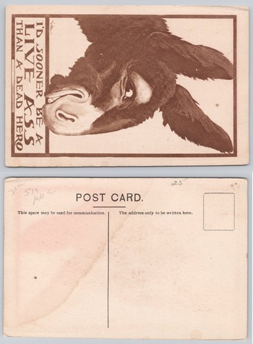 1908 donkey postcard - donkey, "live