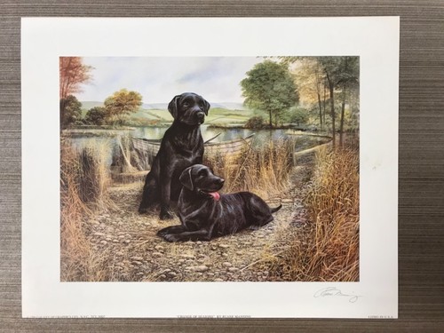 Black labradors change of - labradors, “change