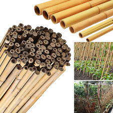 Bamboo Garden Cane Wooden Sticks Outdoor Plants Strong Thick Quality Support 