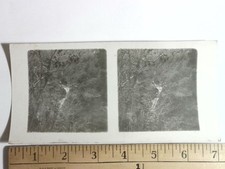 Vintage 1900s Black & White