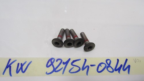 Rear brake disc - bolts, kawasaki
