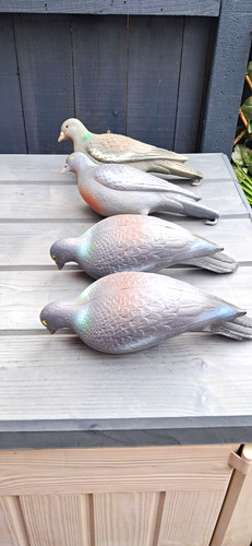 Full bodied pigeon decoy - full,
