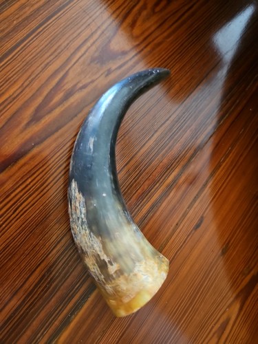 Cow horn natural unpolished - natural,