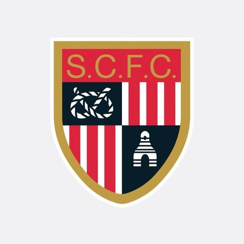 Stoke city swansea - city, v