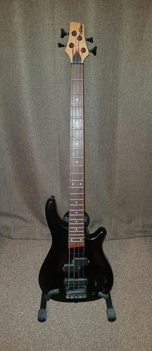 Electric bass guitar - electric,