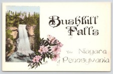 Bushkill Falls PA The Niagara