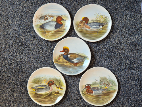 Vintage poole pottery - poole,