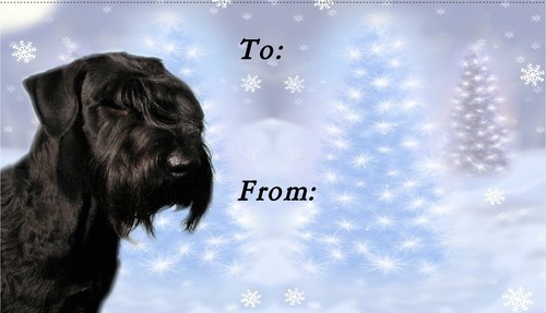 Giant schnauzer christmas - giant,