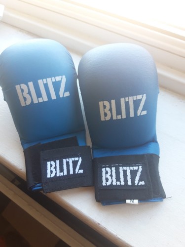 Blitz martial arts sparring - blitz,