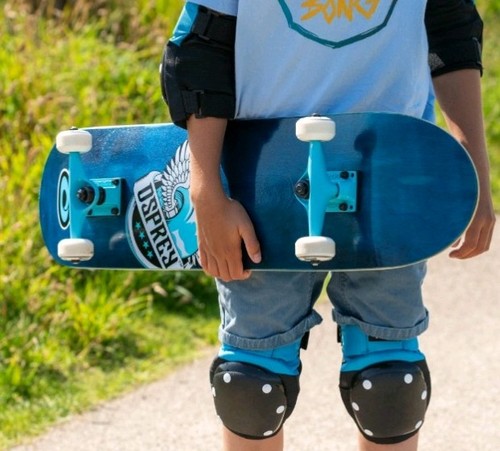 Osprey skateboard - osprey,