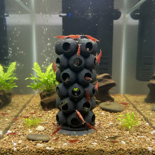 Shrimp breeding tower - shrimp, cave