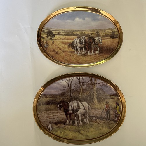 Golden year collector - a,