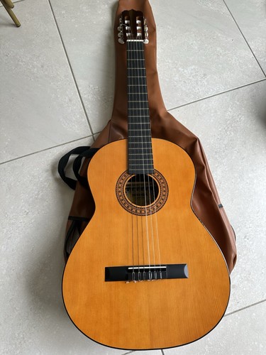 Horner guitar - horner,