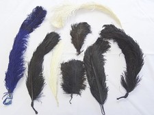 Antique Millinery Feathers Collection Victorian Edwardian Hair Hat Plume Ostrich