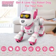 2 Colors Remote Control Robot