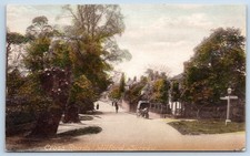 Milford Godalming Surrey Printed Postcard T2 14