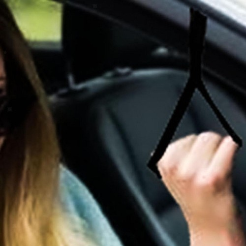 Vehicle support grab - vehicle, car