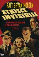 Strisce invisibili dvd italian - strisce,
