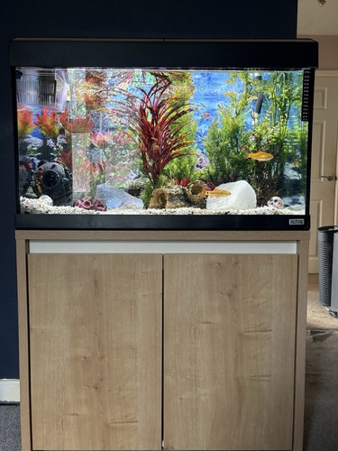 Fluval roma 125l - 125l, aquarium