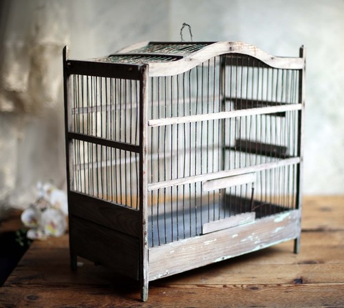 Antique wire bird cage french - bird,