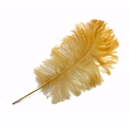 Ostrich feathers beige 10 - ostrich,