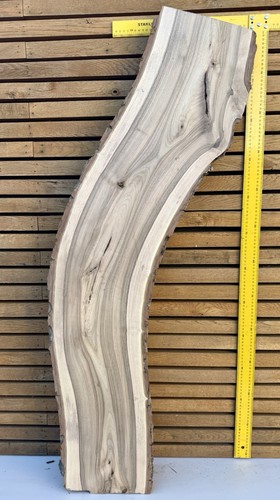 European walnut live edge slab - walnut,