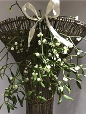 Fresh Teme Valley Mistletoe