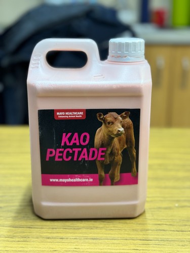 Mayo healthcare kao pectade - mayo,