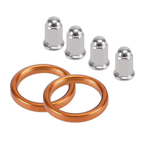 Exhaust gaskets 8 - 4, cap
