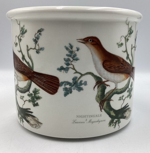 Portmeirion birds britain - portmeirion,