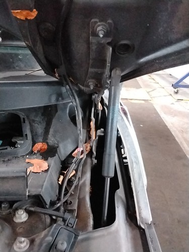Bonnet hinge mini - bonnet,
